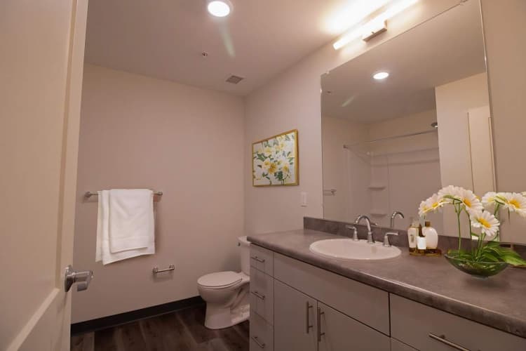 Detroit apartments for rent - image - 60Harper_interiior_2025-23_-_Bathroom_-_Scandinavian_-_3_t3onc1.jpg