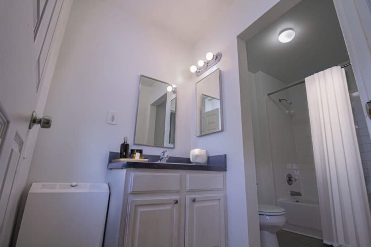 Detroit apartments for rent - image - StPaulBathroom_fr2m53.jpg