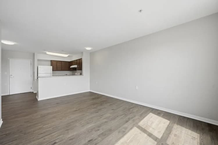 Detroit apartments for rent - image - imgi_58_1774574556767-224905_1BR_HDR-11.webp