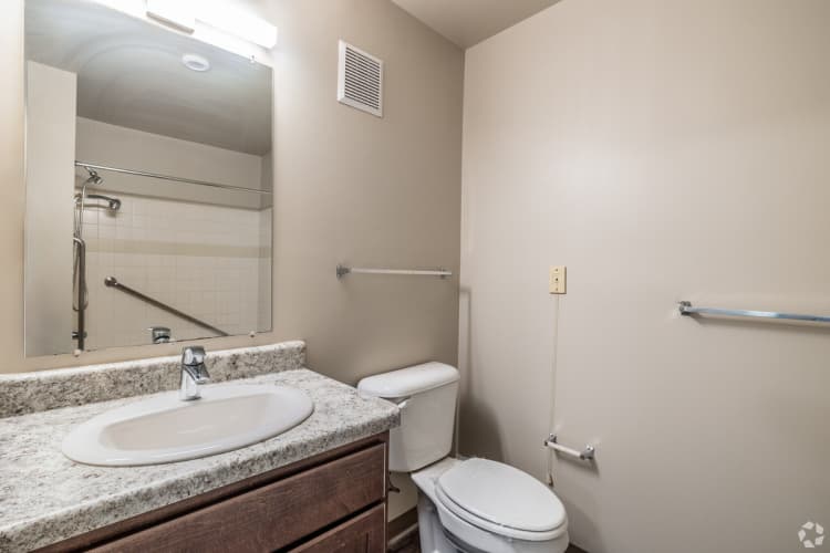 Detroit apartments for rent - image - Apartment - Bathroom.jpg