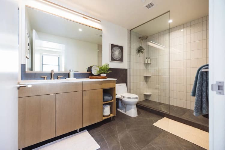 Detroit apartments for rent - image - Two bedroom penthouse bathroom