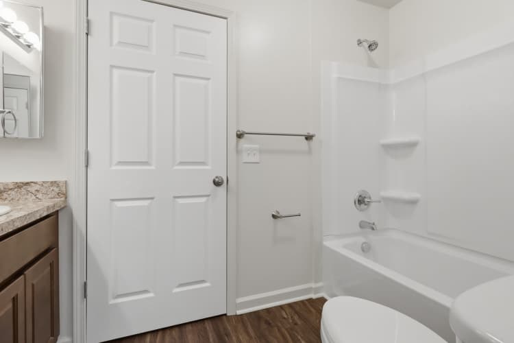 Detroit apartments for rent - image - 10_3825_Emerald_Springs_Detroit_MI_48212-Bathroom-IMG_2596.jpg