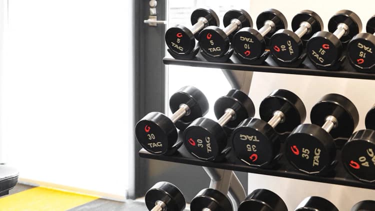 Detroit apartments for rent - image - Free Weights