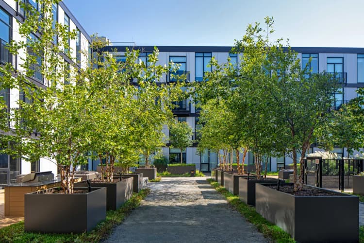 Detroit apartments for rent - image - 440 Alfred Tree-Lined Outdoor Courtyard
