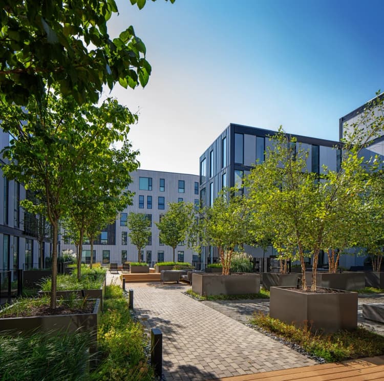 Detroit apartments for rent - image - 440 Alfred Tree-Lined Outdoor Courtyard