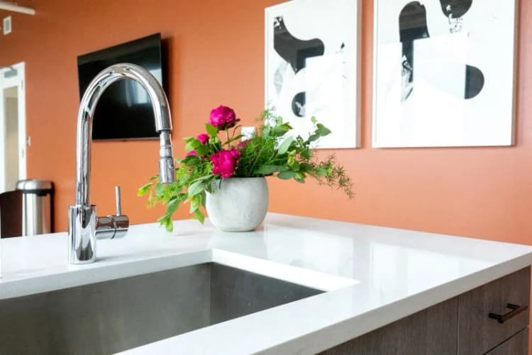Detroit apartments for rent - image - Kitchen Sink
