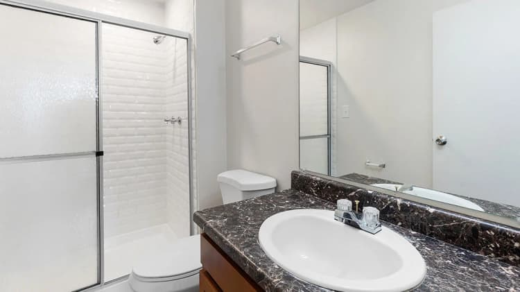 Detroit apartments for rent - image - The-Heights-2b2b-Bathroom.jpg
