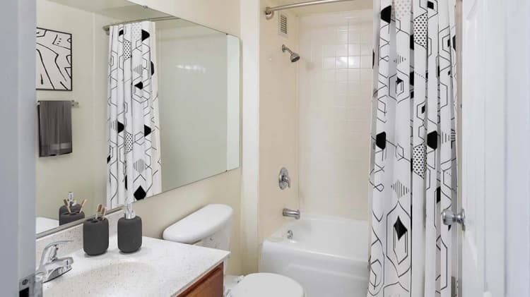 Detroit apartments for rent - image - Regency-Tower-Staged-Bathroom-Website.jpg