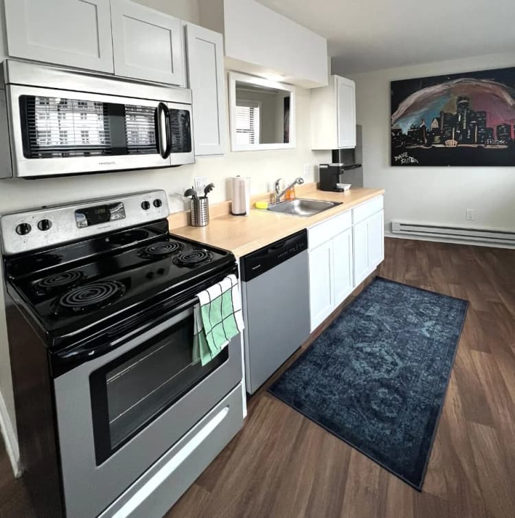 Detroit apartments for rent - image - The-Ashley-SFR-Kitchen.jpg