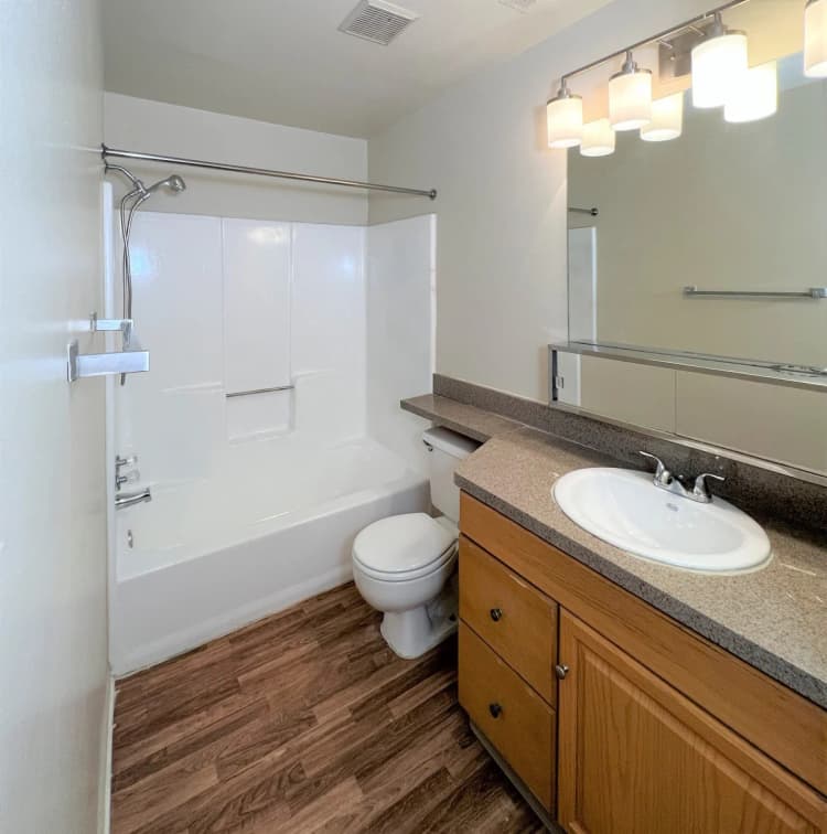 Detroit apartments for rent - image - Grayhaven-photos-1-Bedroom-Bathroom-1.jpg