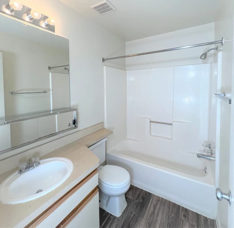 Detroit apartments for rent - image - Grayhaven-photos-2-Bedroom-Guest-Bathroom-1-scaled.jpg