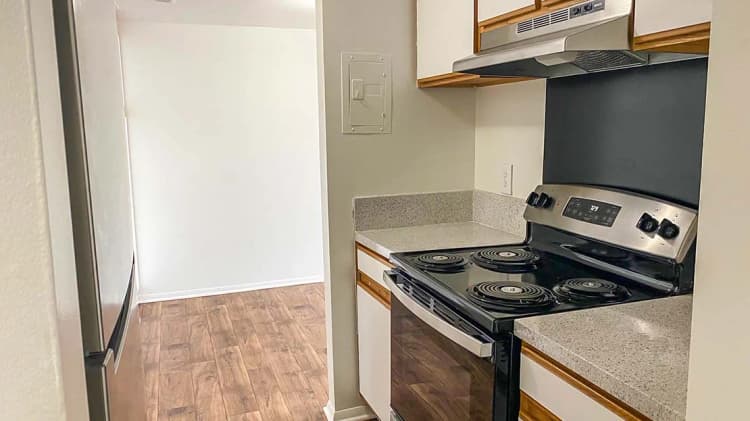 Detroit apartments for rent - image - Palms-East-Kitchen-.jpg