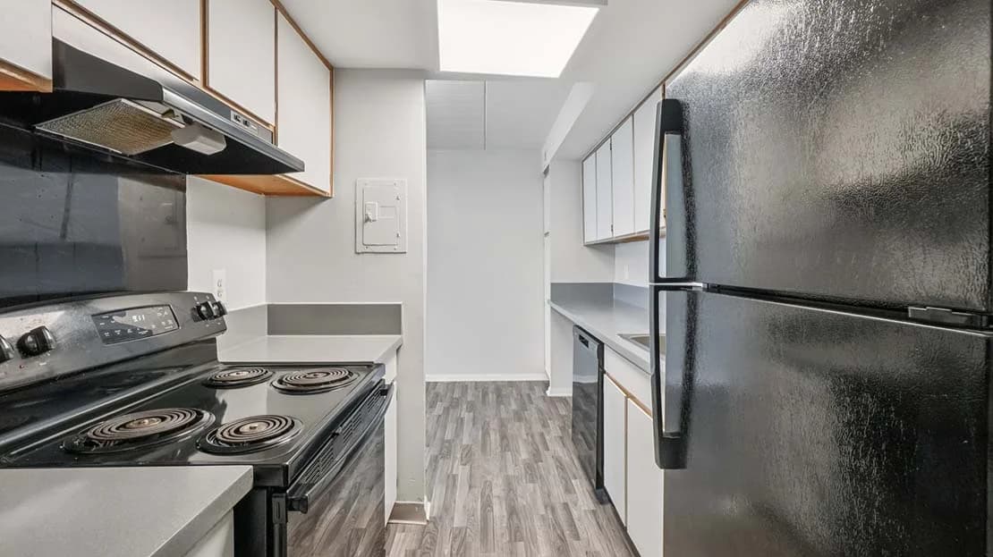 Detroit apartments for rent - image - Palms-East-Kitchen.jpg