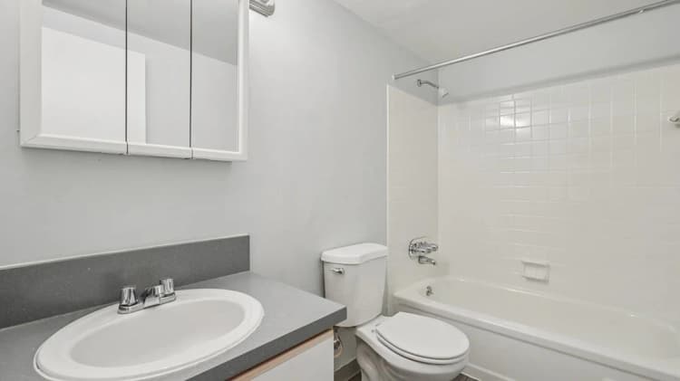 Detroit apartments for rent - image - Palms-East-Bathroom.jpg