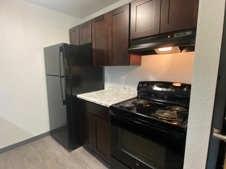 Detroit apartments for rent - image - Kitchen - 1 Bed - Copy.jpg