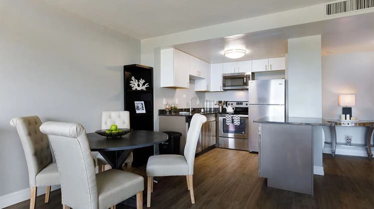 Detroit apartments for rent - image - Jefferson-Kitchen-Website.jpg