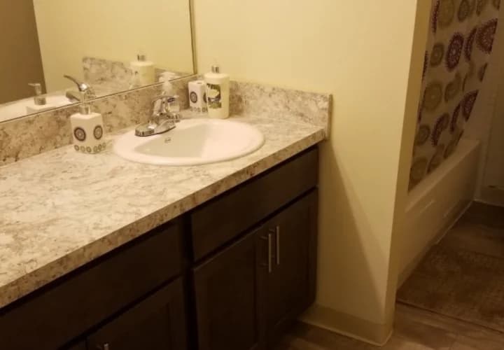 Detroit apartments for rent - image - Cambridge Square Apartments - Bathroom Sink.jpeg