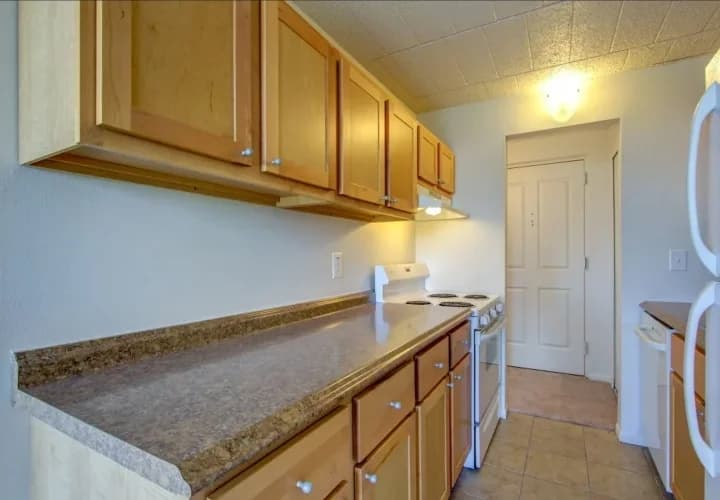 Detroit apartments for rent - image - Solaire Apartments - Kitchen1.jpeg