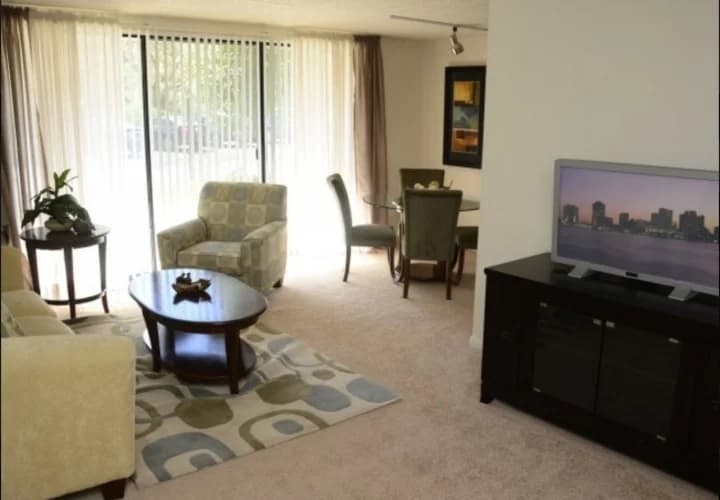 Detroit apartments for rent - image - Solaire Apartments - Living Room1.jpeg