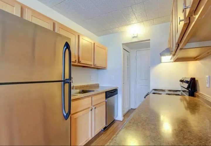 Detroit apartments for rent - image - Solaire Apartments - Kitchen2.jpeg