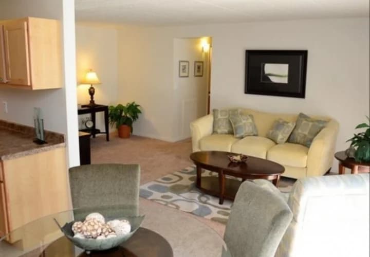 Detroit apartments for rent - image - Solaire Apartments - Living Room2.jpeg