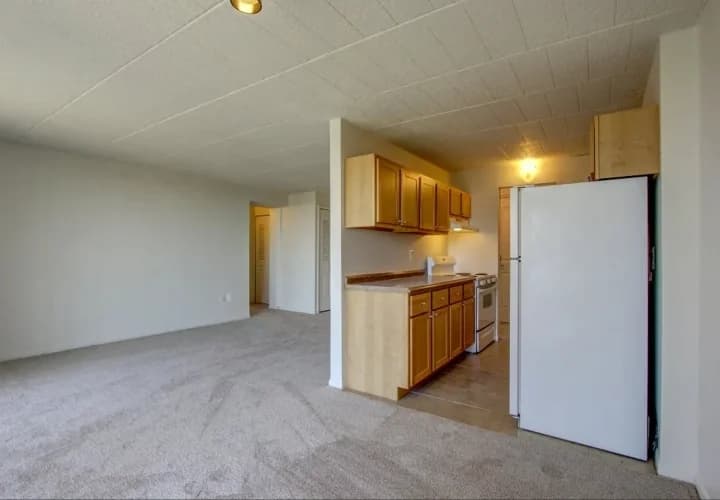 Detroit apartments for rent - image - Solaire Apartments - Living Room.jpeg