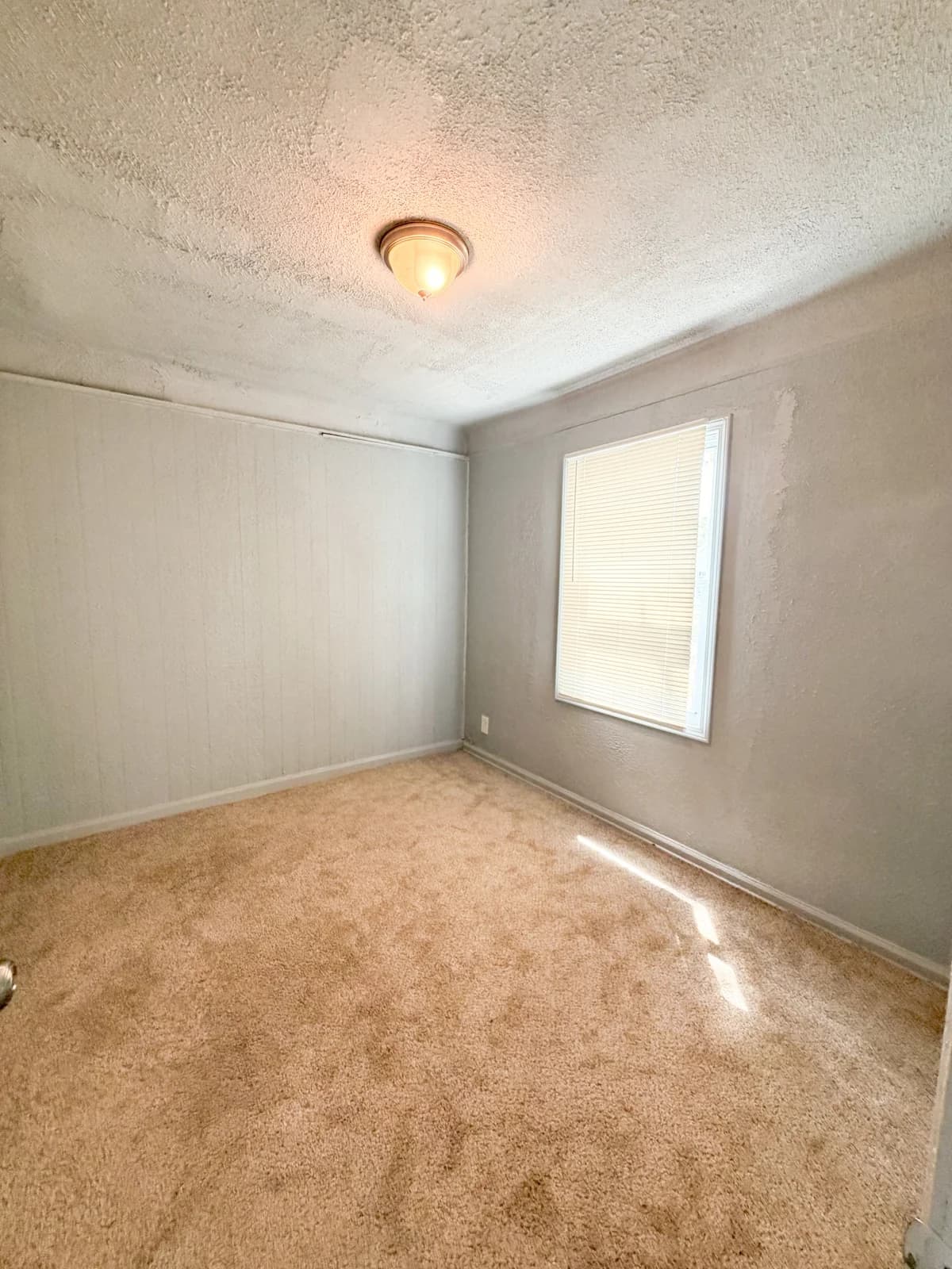 Detroit apartments for rent - Property image - 20058 Bloom Street - 3
