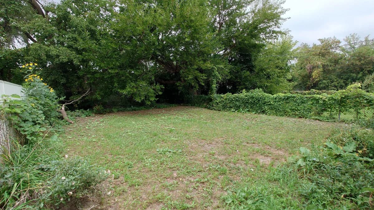Detroit apartments for rent - Property image - 20453 Concord Street - 3