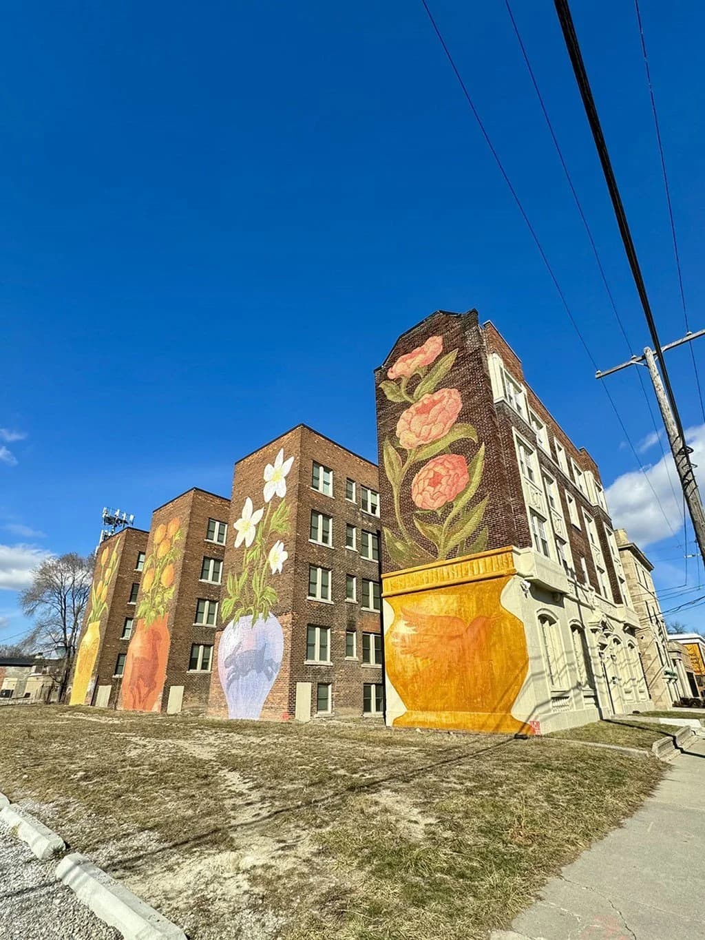 Detroit apartments for rent - Property image - Selden Manor - 1