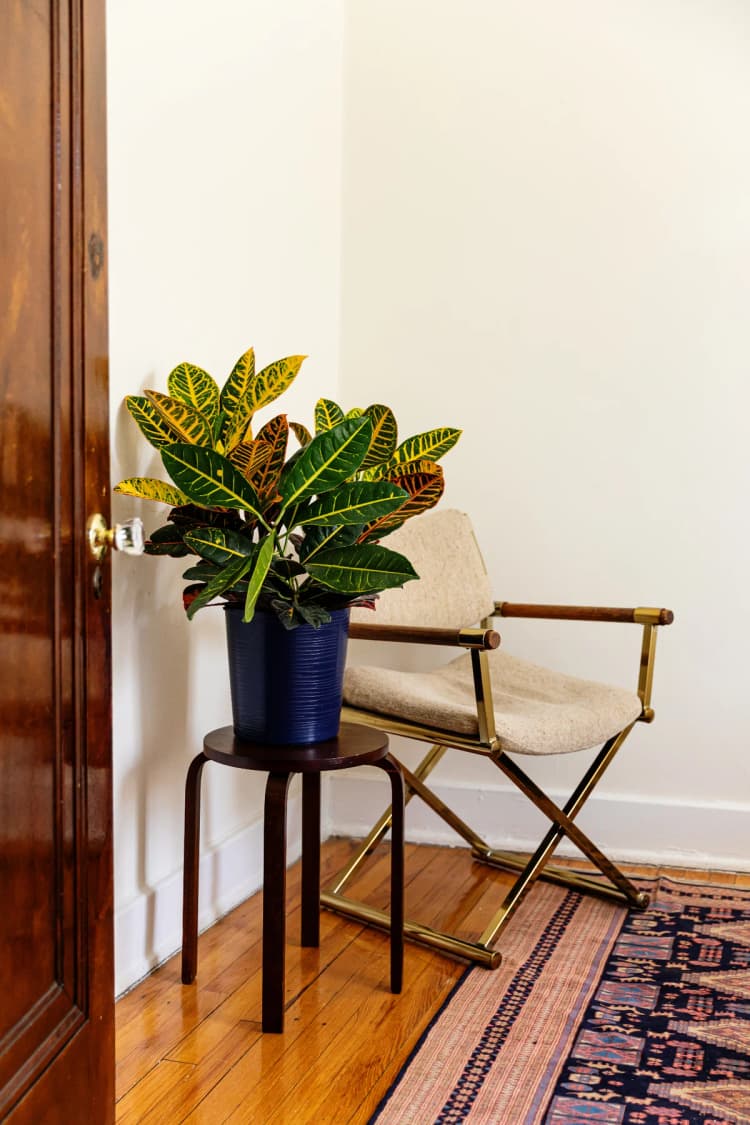 Detroit apartments for rent - image - Hazelwood - 3.jpg