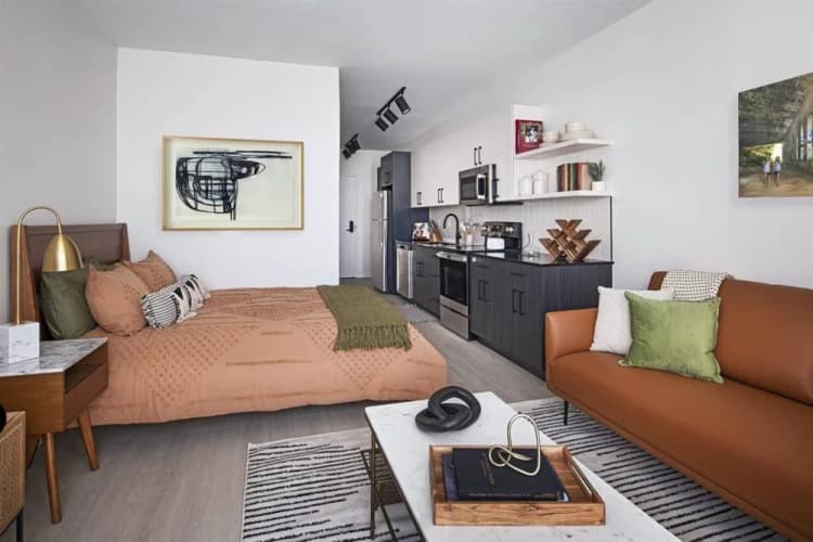 Detroit apartments for rent - image - Woodward West - 15.jpg