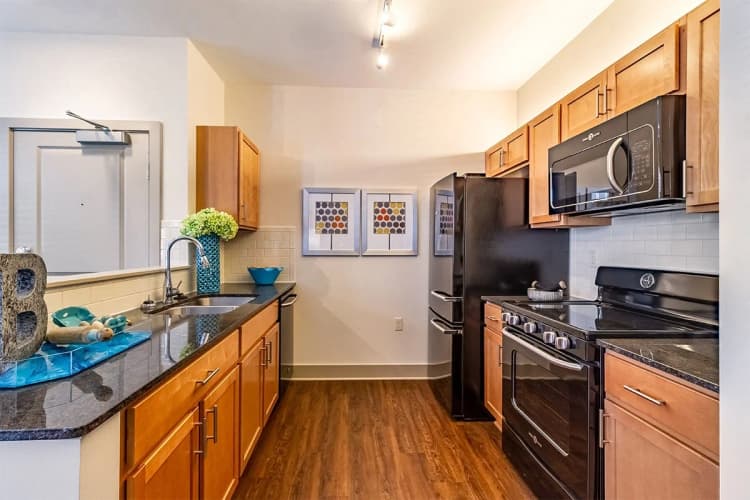 Detroit apartments for rent - image - Orleans Landing- 23.jpg