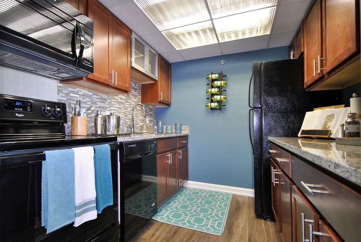 Detroit apartments for rent - image - The Millie on Brush- 05.jpg