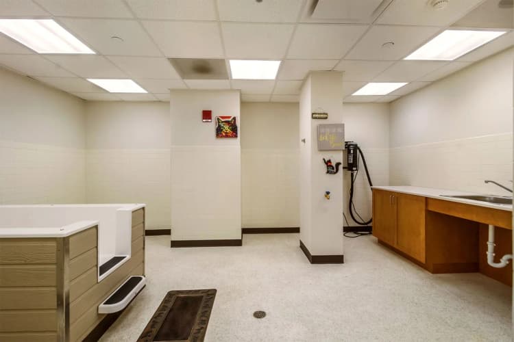 Detroit apartments for rent - image - Strathmore Apartments- 15.jpg